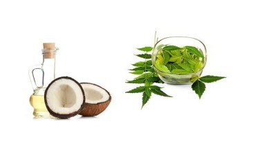 neem-and-coconut-oil