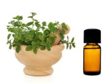 oil-of-oregano-acne